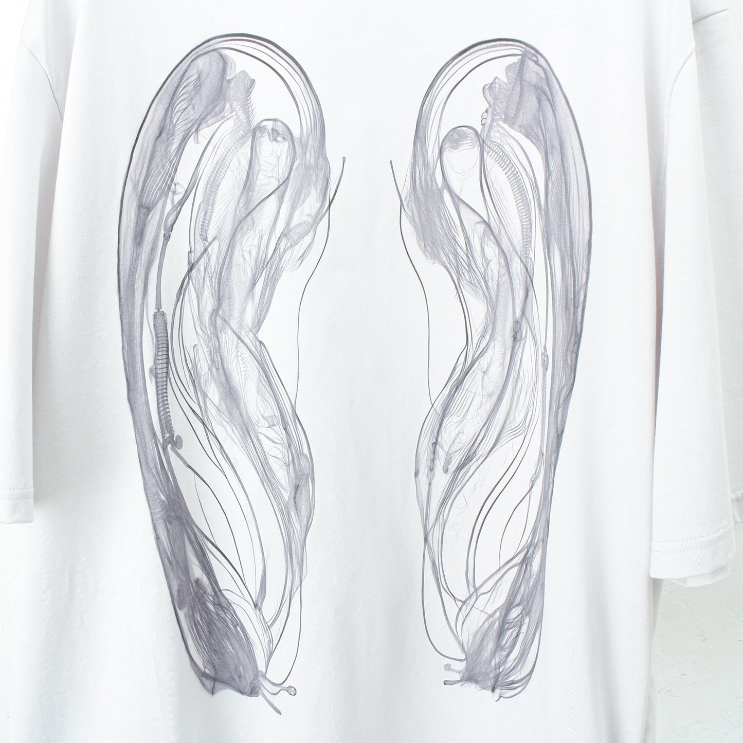 TS_Play / cloudy