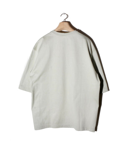 TS-Refract / leaf