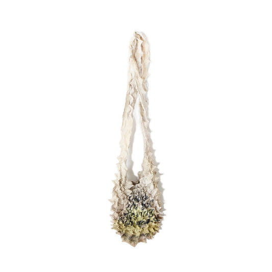 SPIKY NEWTON BAG / beige