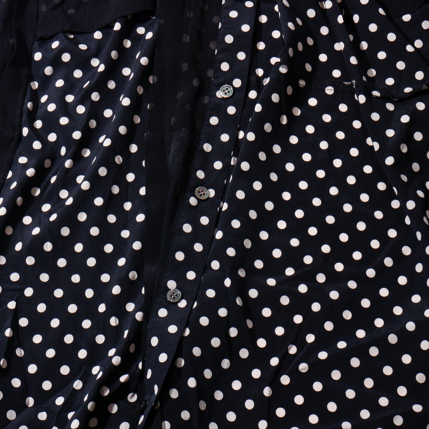 バックヤード / dot の　sheer shirt